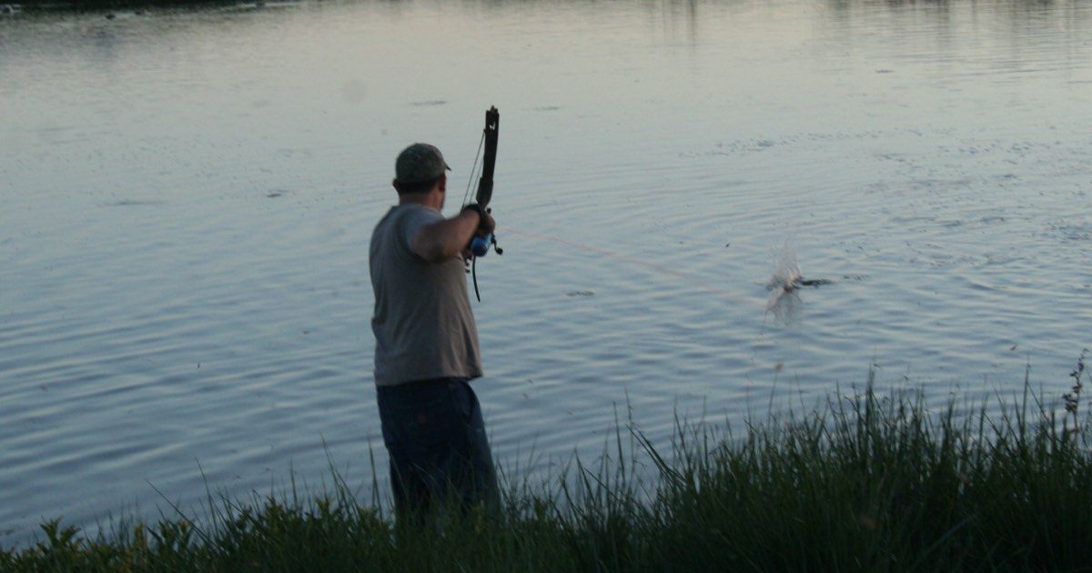 Bowfisher on a grassy riverbank shooting at a fish in shallow water