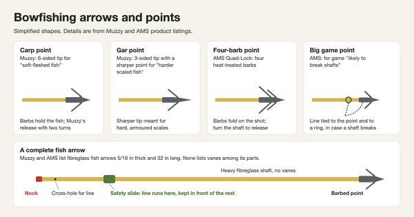 Simplified diagram of four bowfishing points, a carp point with a six-sided tip, a gar point with a sharper three-sided tip, a four-barb point whose barbs fold on the shot, and a big game point with line tied to the point and a ring, above a complete fibreglass fish arrow showing the nock, cross-hole, safety slide, shaft with no vanes and barbed point
