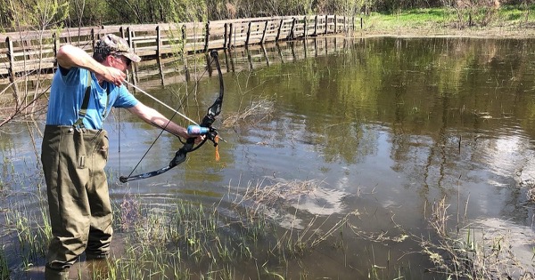Bowfisher in waders drawing a compound bow with a blue reel mounted on the riser, aiming down into shallow water