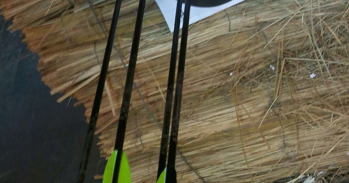 Close-up of carbon arrows with fletching stuck in a straw target boss