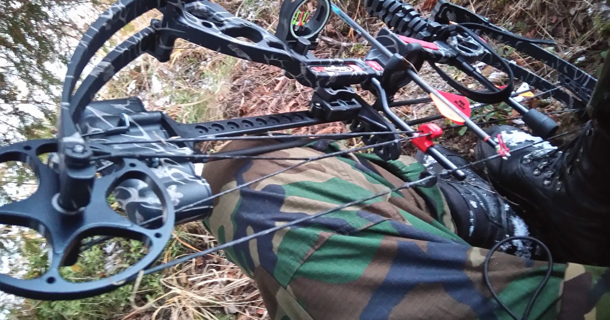 Close view of a camouflage compound bow with cams, cables and sight held at full draw outdoors