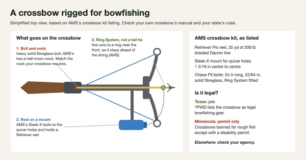 Simplified top-view diagram of a crossbow rigged for bowfishing: a heavy fibreglass bolt with a half-moon nock and barbed point, a reel on a mount below the barrel, and line running to a ring near the front of the bolt, beside AMS's crossbow kit contents and notes that Texas allows crossbows for bowfishing while Minnesota allows them only with a disability permit