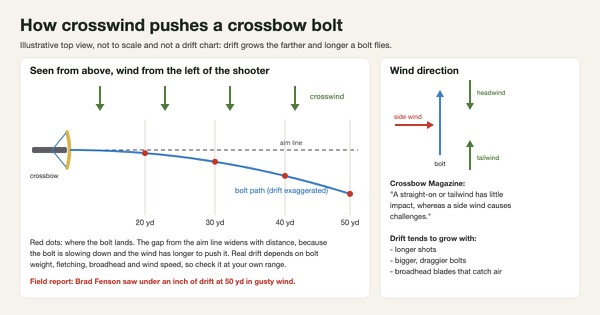 Illustrative top-view diagram of a crossbow bolt pushed by a crosswind: the bolt path curves away from the aim line and the gap widens at 20, 30, 40 and 50 yards, with drift exaggerated and not to scale, plus a panel showing that a side wind matters more than a headwind or tailwind