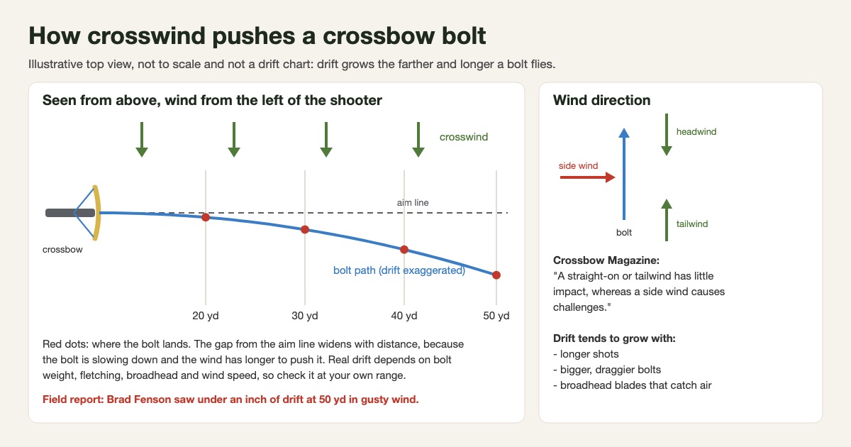 Illustrative top-view diagram of a crossbow bolt pushed by a crosswind: the bolt path curves away from the aim line and the gap widens at 20, 30, 40 and 50 yards, with drift exaggerated and not to scale, plus a panel showing that a side wind matters more than a headwind or tailwind