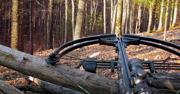 Modern compound crossbow with a scope resting on a log in autumn woodland