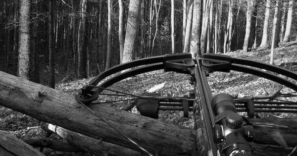 Black-and-white photo of a scoped hunting crossbow resting on a fallen log in a forest