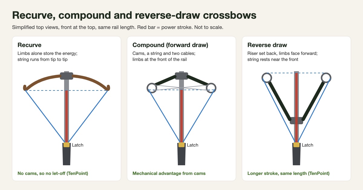 Three simplified top-view diagrams comparing a recurve crossbow, a forward-draw compound crossbow with cams and cables, and a reverse-draw crossbow with its riser set back and limbs facing forward, each with a red bar showing the power stroke from the string's rest position to the latch