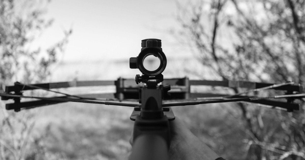 Black-and-white view over a crossbow and its scope while aiming outdoors