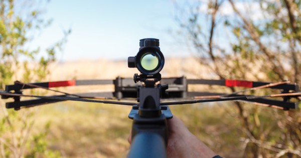 View over the scope and limbs of a modern compound crossbow aimed across open grassland