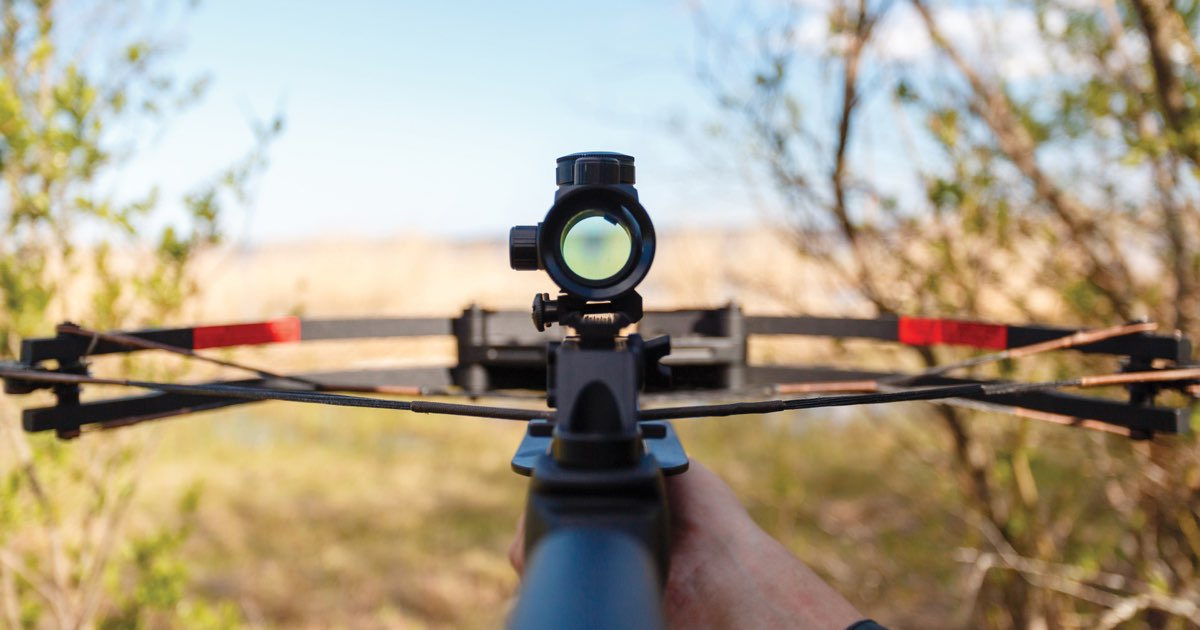 View over the scope and limbs of a modern compound crossbow aimed across open grassland