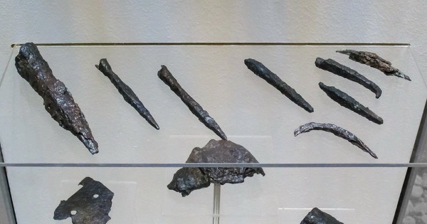 Rusted medieval bodkin arrowheads from the 1361 Danish invasion of Gotland on display in the Gotland Museum