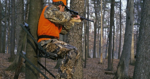 Hunter in blaze orange and camouflage seated on a climbing tree stand against a tree trunk in a forest
