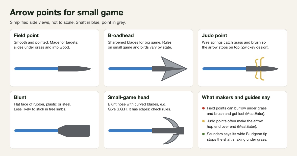 Simplified side-view diagram comparing a field point, broadhead, Judo point with wire springs, flat blunt and a small-game head with curved blades