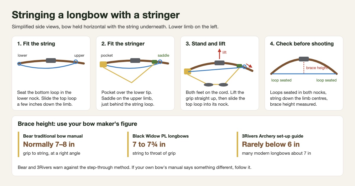 Simplified four-step diagram of stringing a longbow with a stringer: seat the bottom loop and slide the top loop down the upper limb, fit the pocket on the lower tip and the saddle behind the top loop, stand on the cord and lift the grip while sliding the loop into its nock, then check both loops are seated and measure brace height, with brace height guidance from Bear, Black Widow and 3Rivers