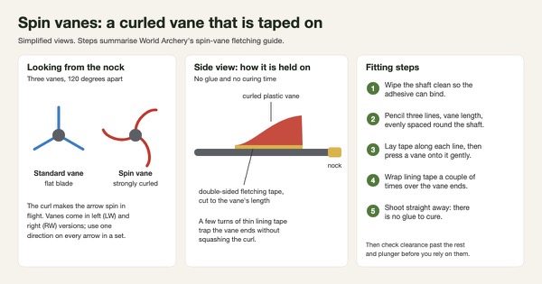 Simplified diagram of spin vanes: an end view comparing flat standard vanes with strongly curled spin vanes, a side view of a curled vane pressed onto double-sided fletching tape on the shaft, and five fitting steps from World Archery's guide: clean, mark three lines, tape and press, wrap lining tape over the vane ends, shoot with no glue to cure