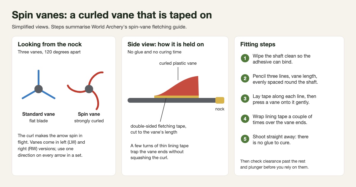 Simplified diagram of spin vanes: an end view comparing flat standard vanes with strongly curled spin vanes, a side view of a curled vane pressed onto double-sided fletching tape on the shaft, and five fitting steps from World Archery's guide: clean, mark three lines, tape and press, wrap lining tape over the vane ends, shoot with no glue to cure