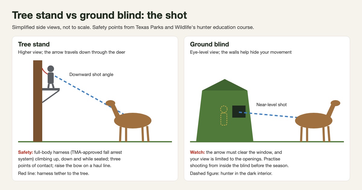 Diagram comparing a bowhunter's downward shot from a tree stand with a near-level shot from a ground blind, with safety notes for each