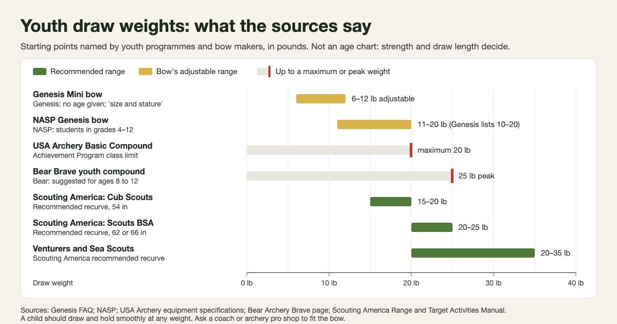 Bar chart of youth draw weights from named sources: Genesis Mini 6 to 12 lb, NASP Genesis bow 11 to 20 lb for grades 4 to 12, USA Archery Basic Compound class maximum 20 lb, Bear Brave 25 lb peak for ages 8 to 12, and Scouting America recurve recommendations of 15 to 20 lb for Cub Scouts, 20 to 25 lb for Scouts BSA and 20 to 35 lb for Venturers and Sea Scouts